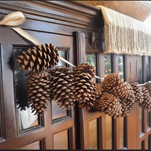 SALE! Bundle of 6 Pinecones - Picture 2 of 4